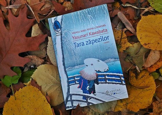 tara-zapezilor_book-review